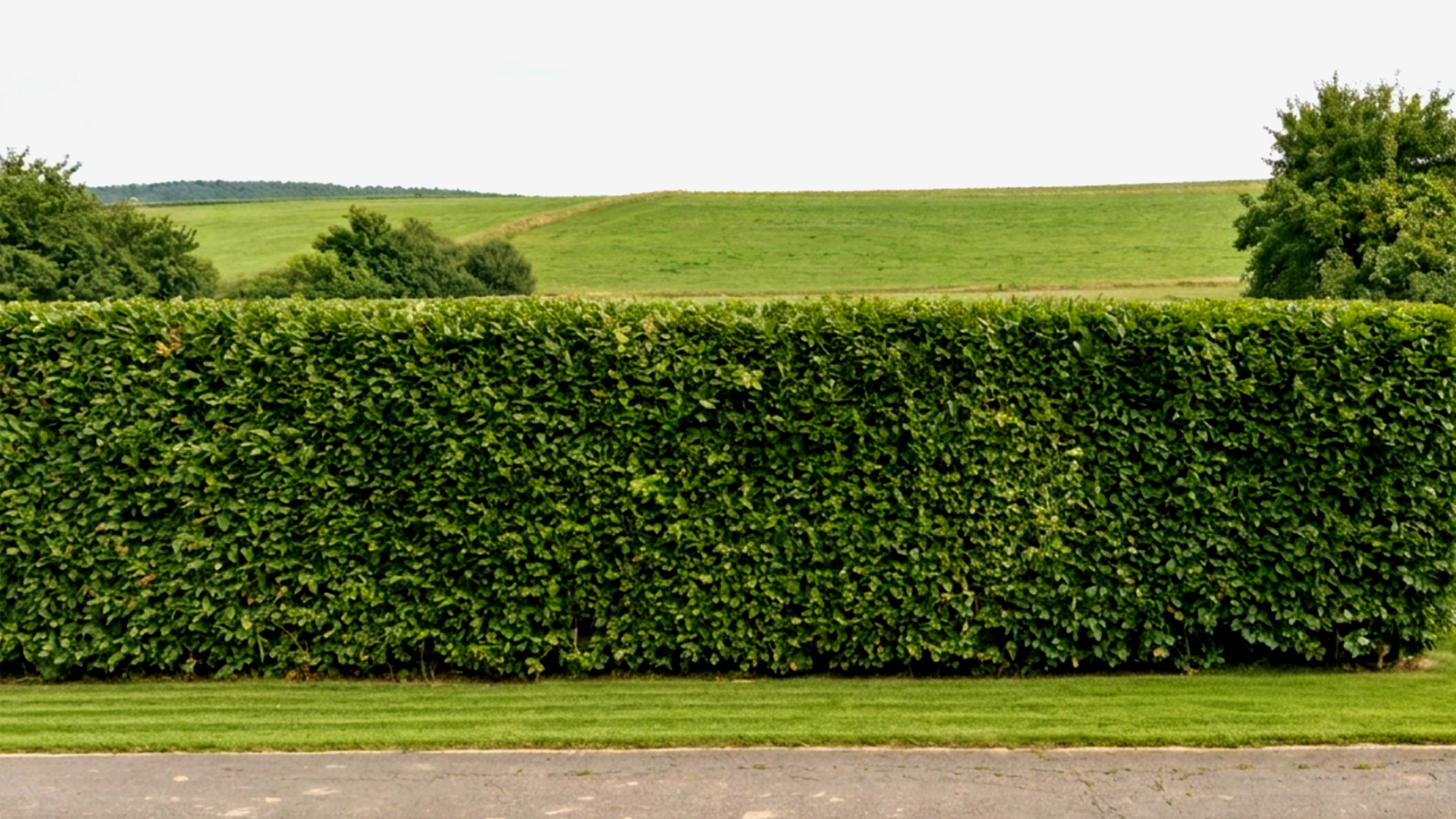 Gartenpflege
